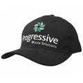 3986 Organic Brushed Heavy Cotton Cap
