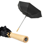 23" Auto Open Recycled PET Walking Umbrellas
