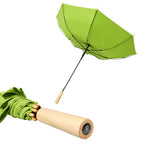 23" Auto Open Recycled PET Walking Umbrellas