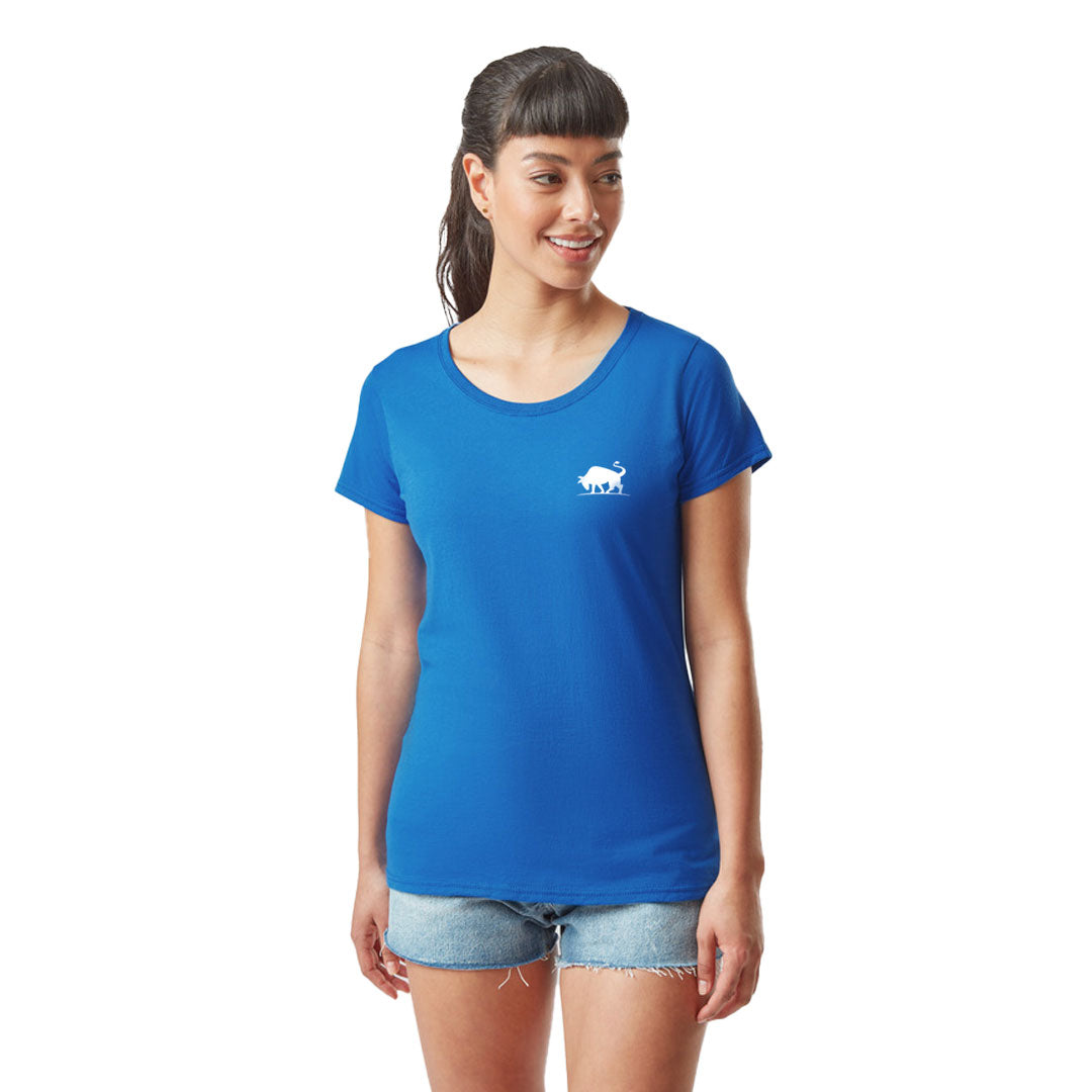 Coloured Fruit of The Loom Ladies Value Weight T-shirt