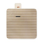 Branded Picnic Blanket